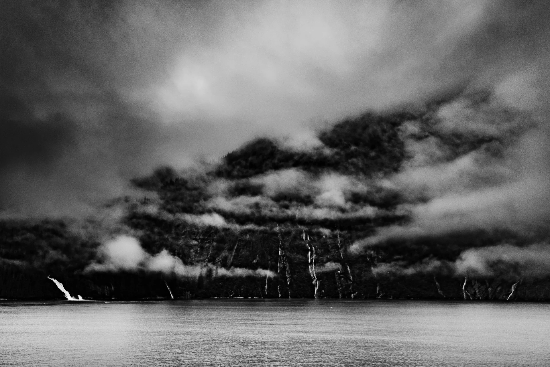 DSC_3077.jpg