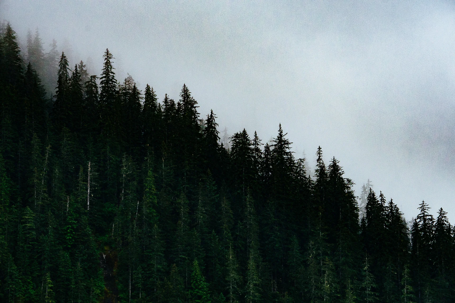 DSC_3090.jpg