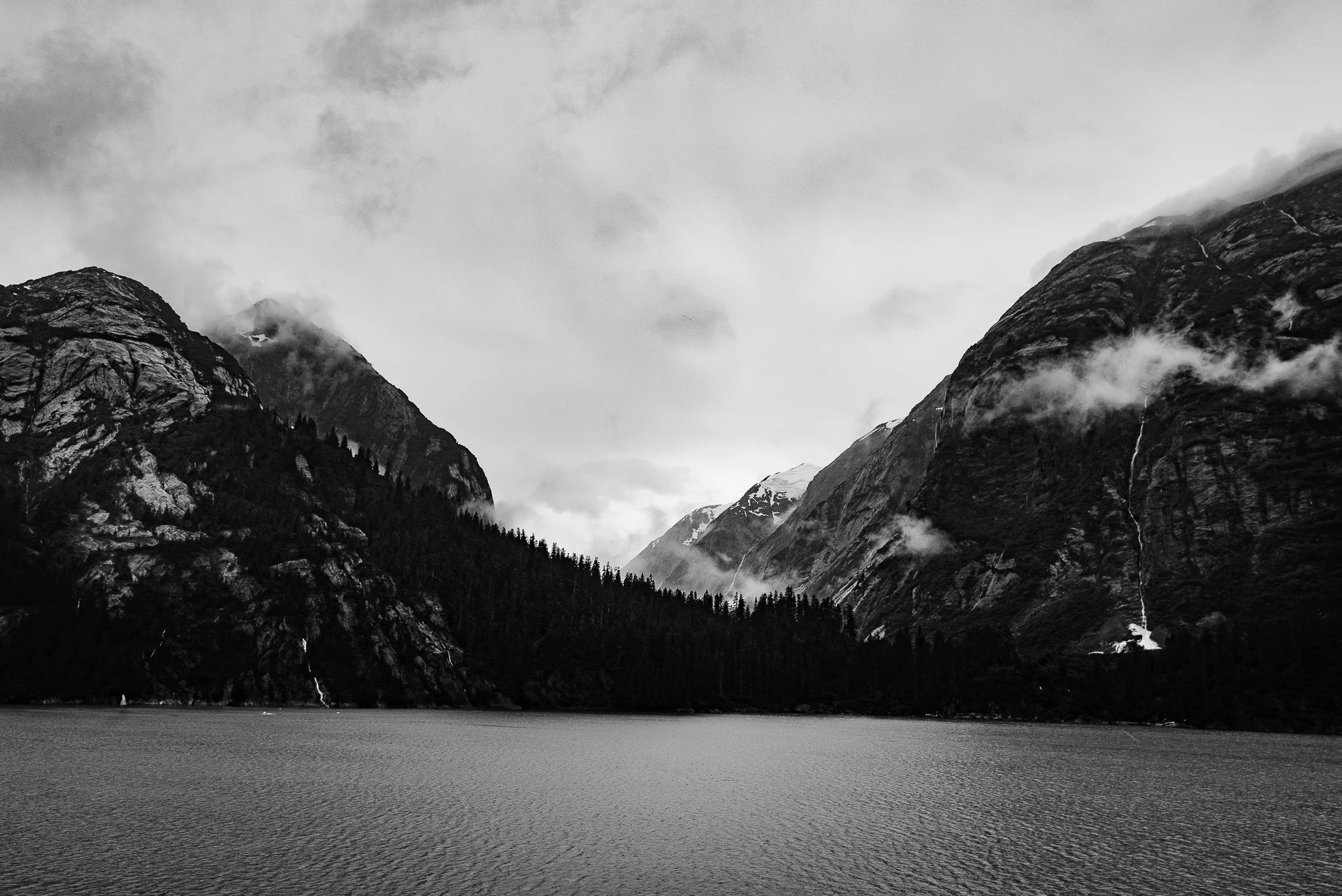 DSC_3144.jpg