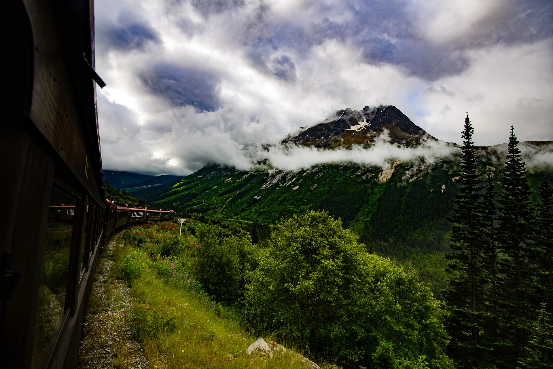 DSC_3361.jpg