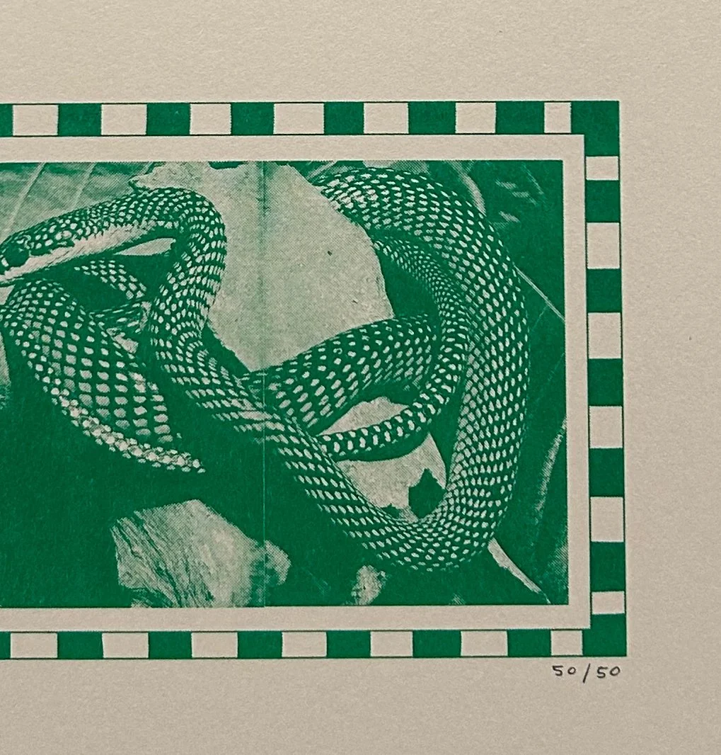 DontLookGreenCrop.jpg