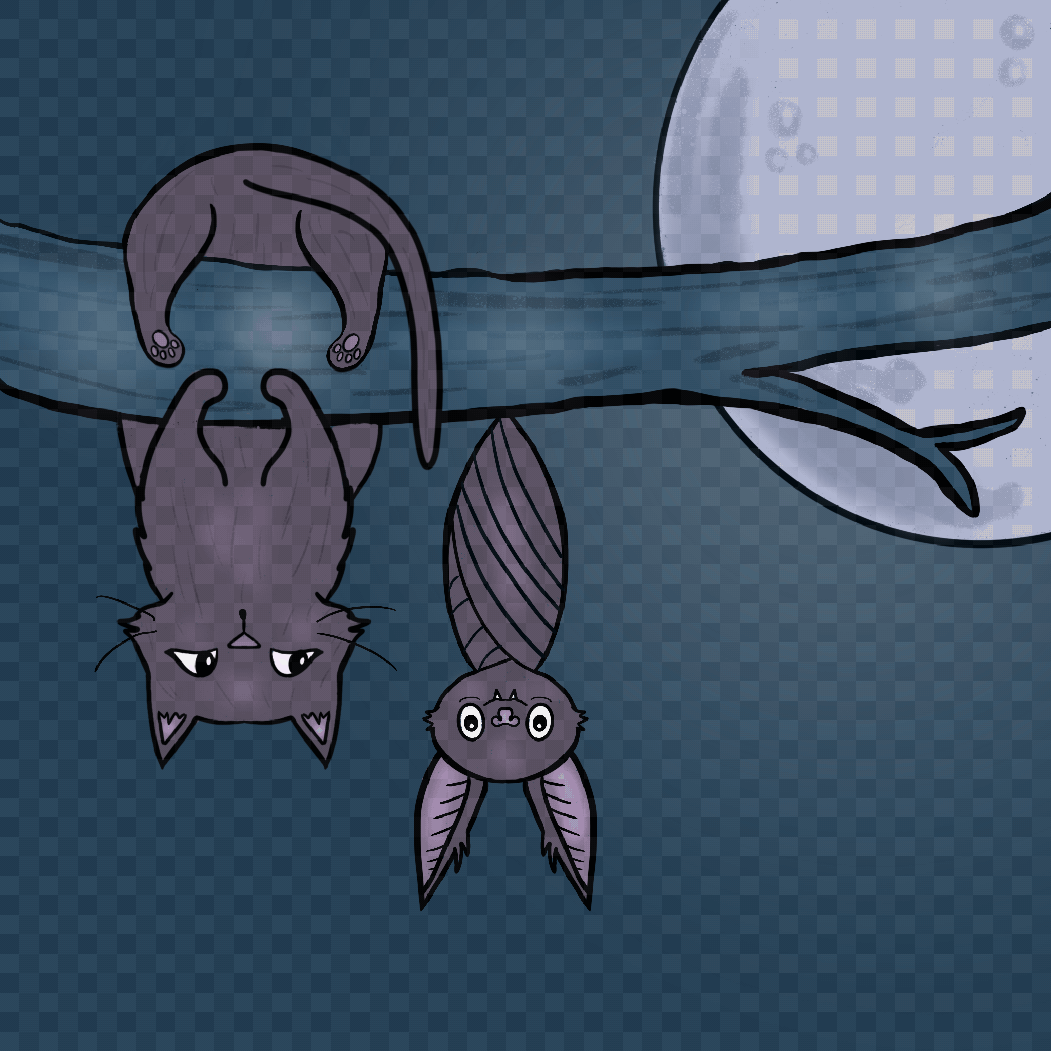 ANIMATION_BAT_CAT.gif