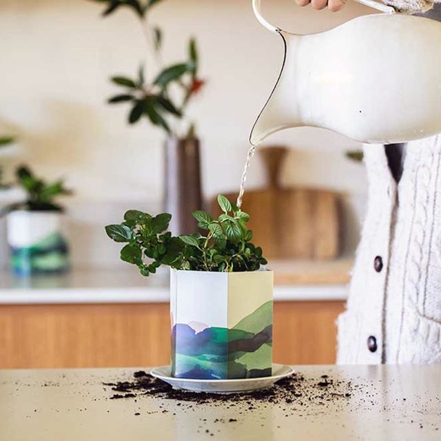Say hello to Pop Up Pots from @SownSow π±
Stylish plant pots that pop and are ready for planting!
Made in Australia from 100% recycled & recyclable polypropylene,
Pop Up Pots come folded flat so they can be posted as a letter and stored away easily. We have two designs available featuring landscape watercolours by Melbourne artist @daniellagermain
#sownsow #popuppot #plantlove