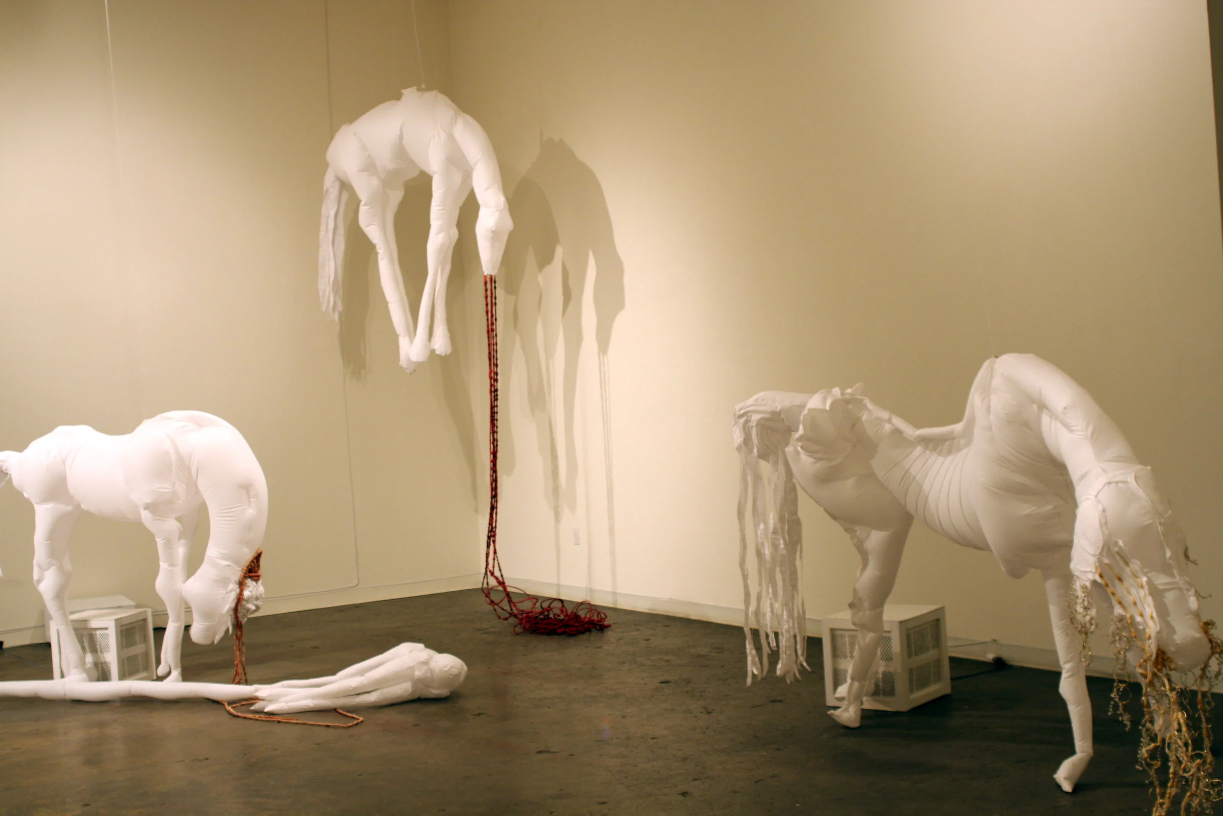 horses7.jpg