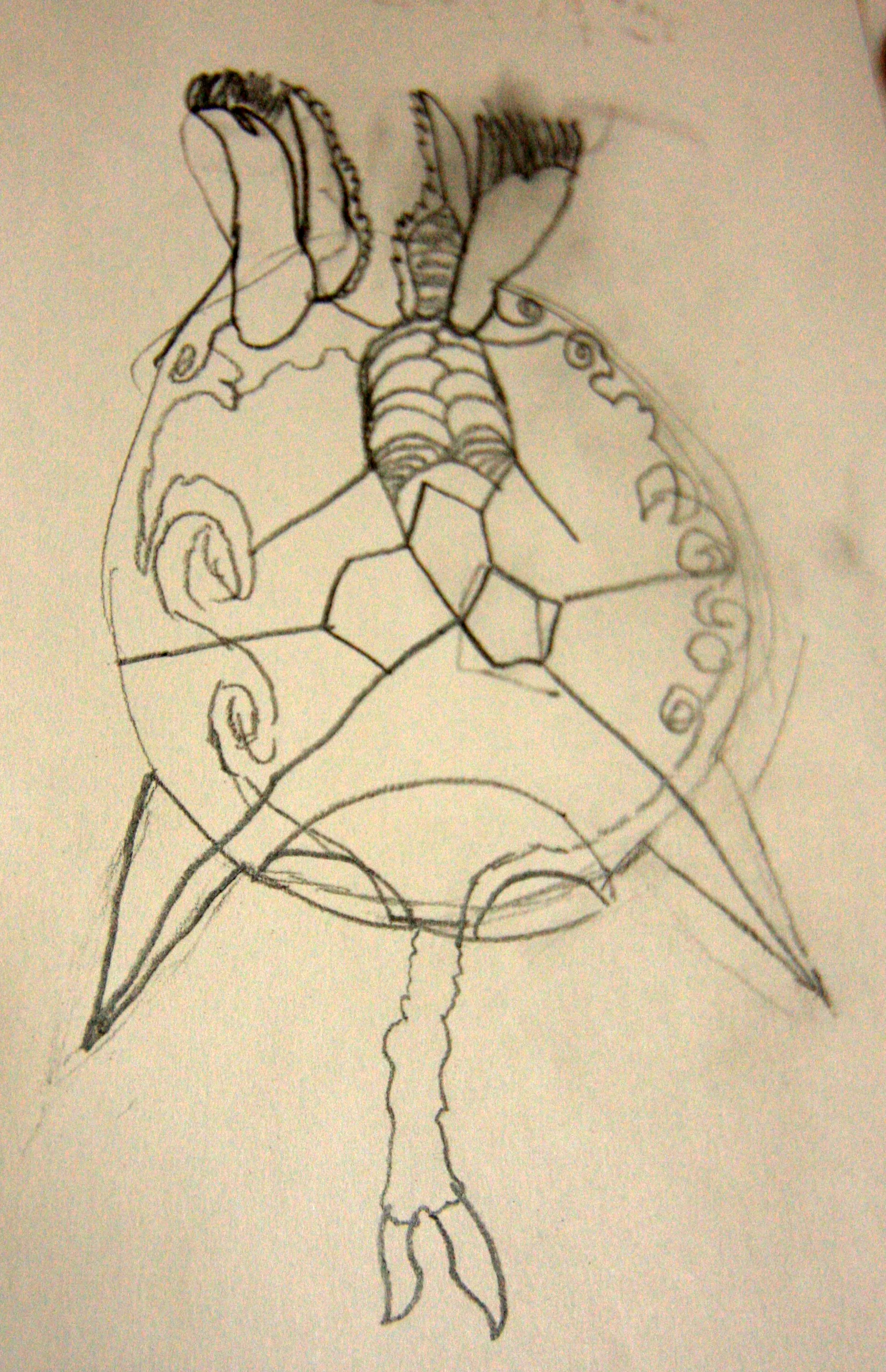 Child's Drawing of Rotifers