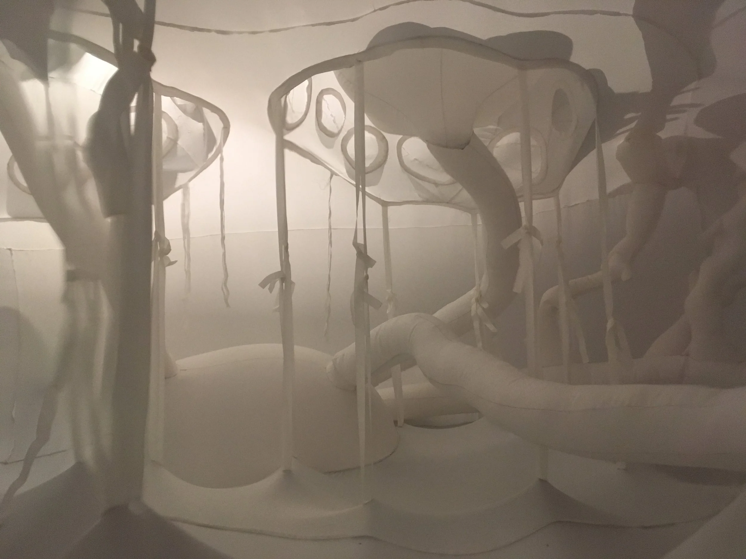 Erupture at Wonderspaces