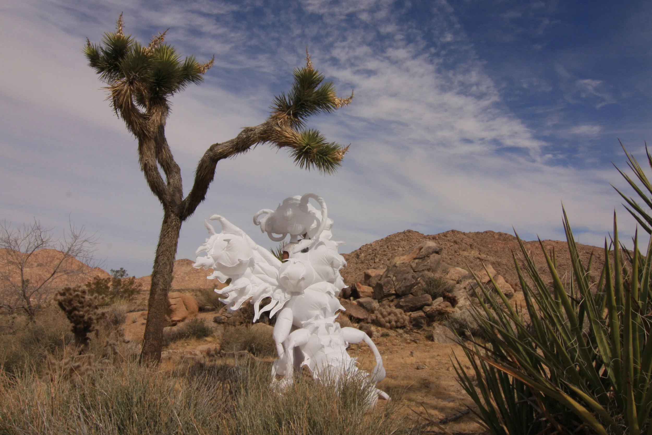 Inflatable fabric sculpture yucca moth Joshua tree