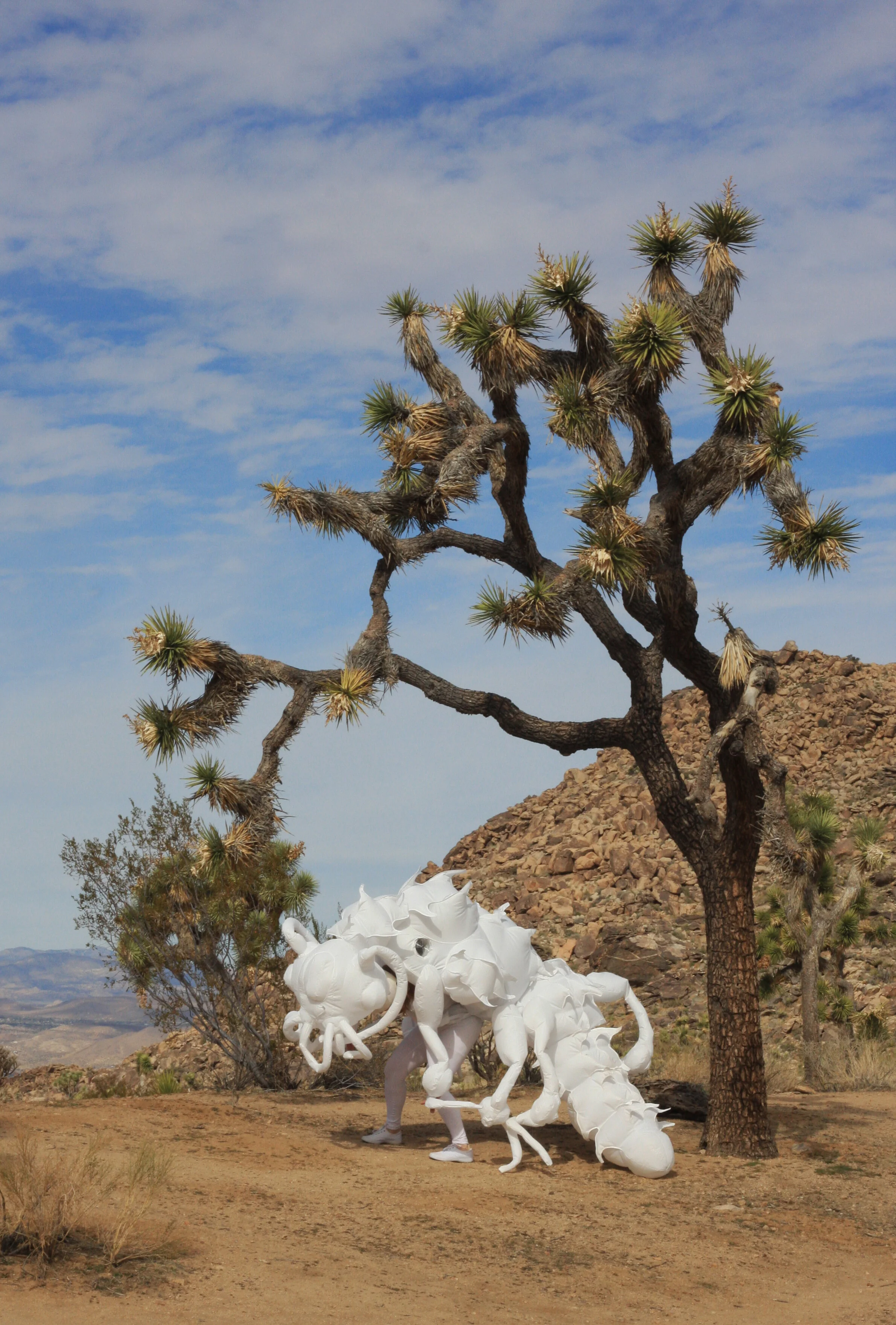 Inflatable fabric sculpture yucca moth Joshua tree