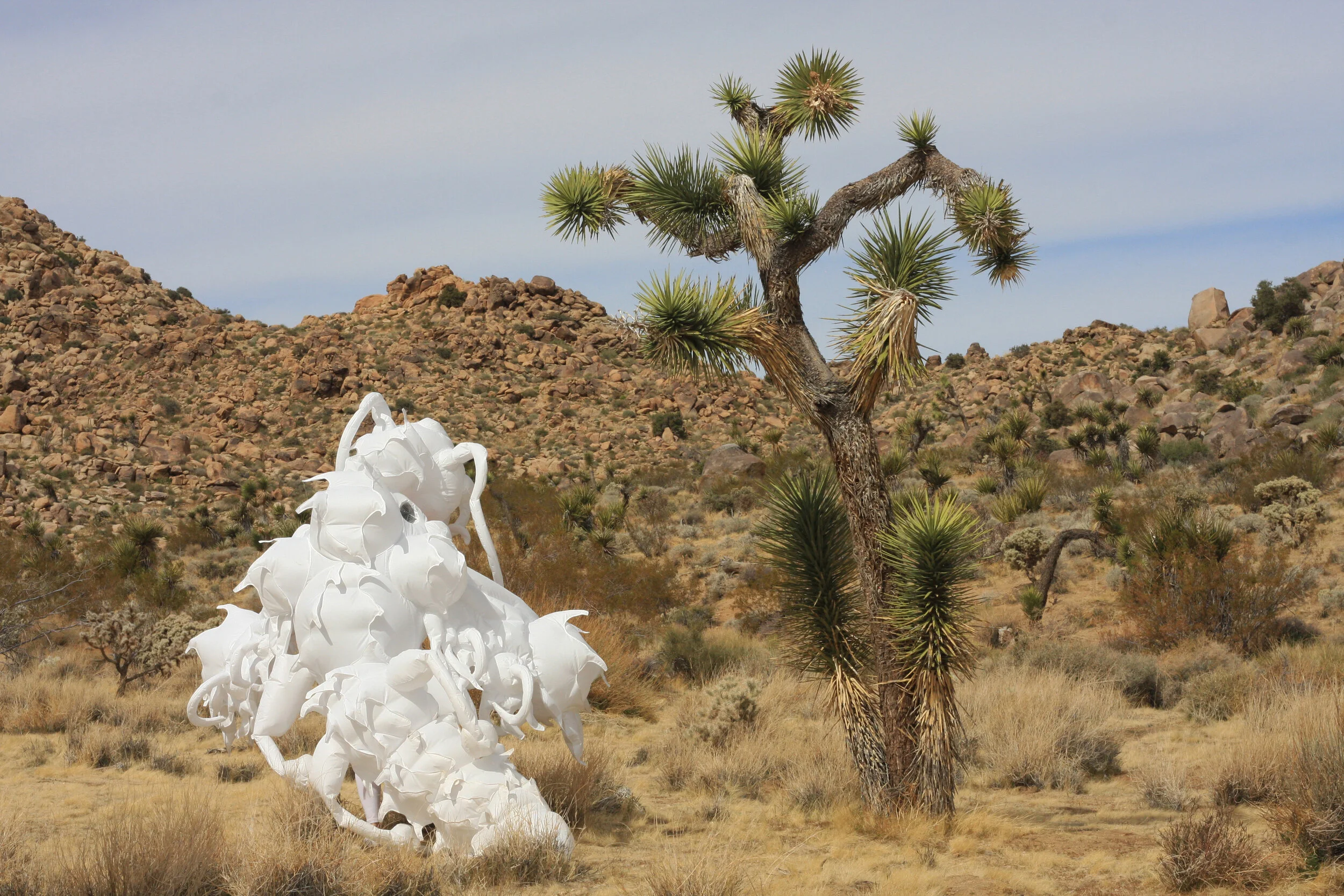 Inflatable fabric sculpture yucca moth Joshua tree