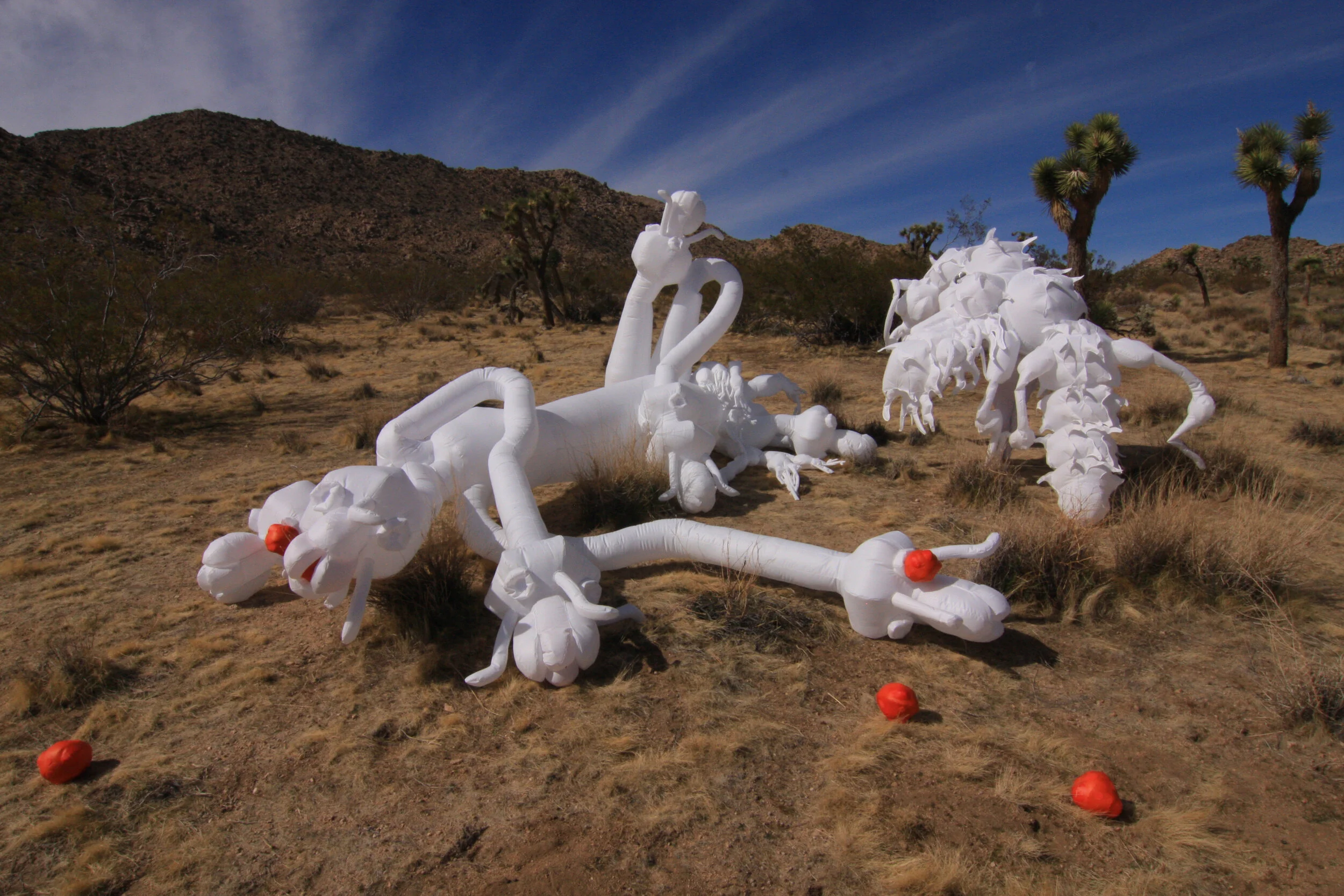 Inflatable fabric sculpture yucca moth Joshua tree