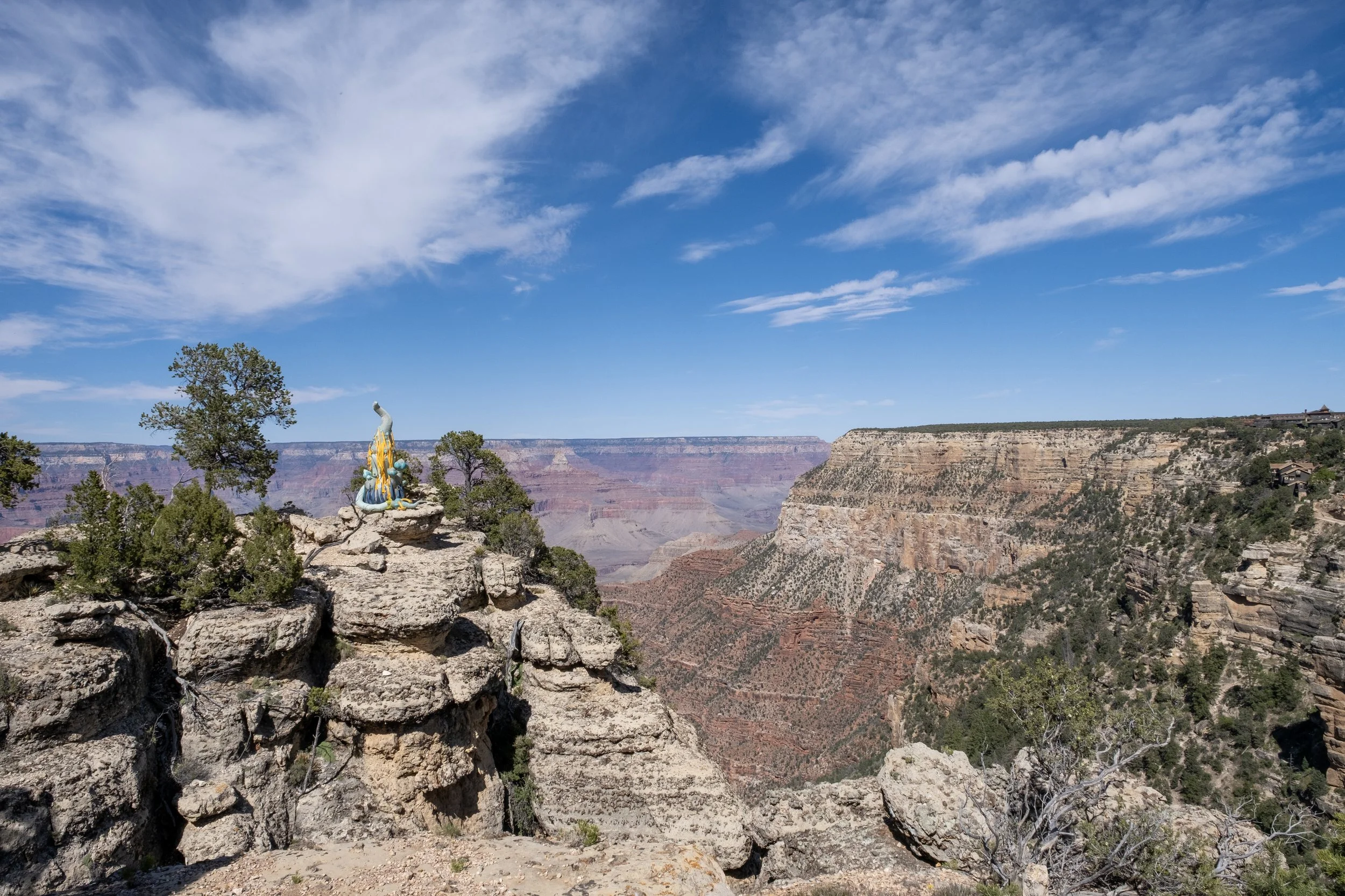 Future agave inflatable sculpture grand canyon