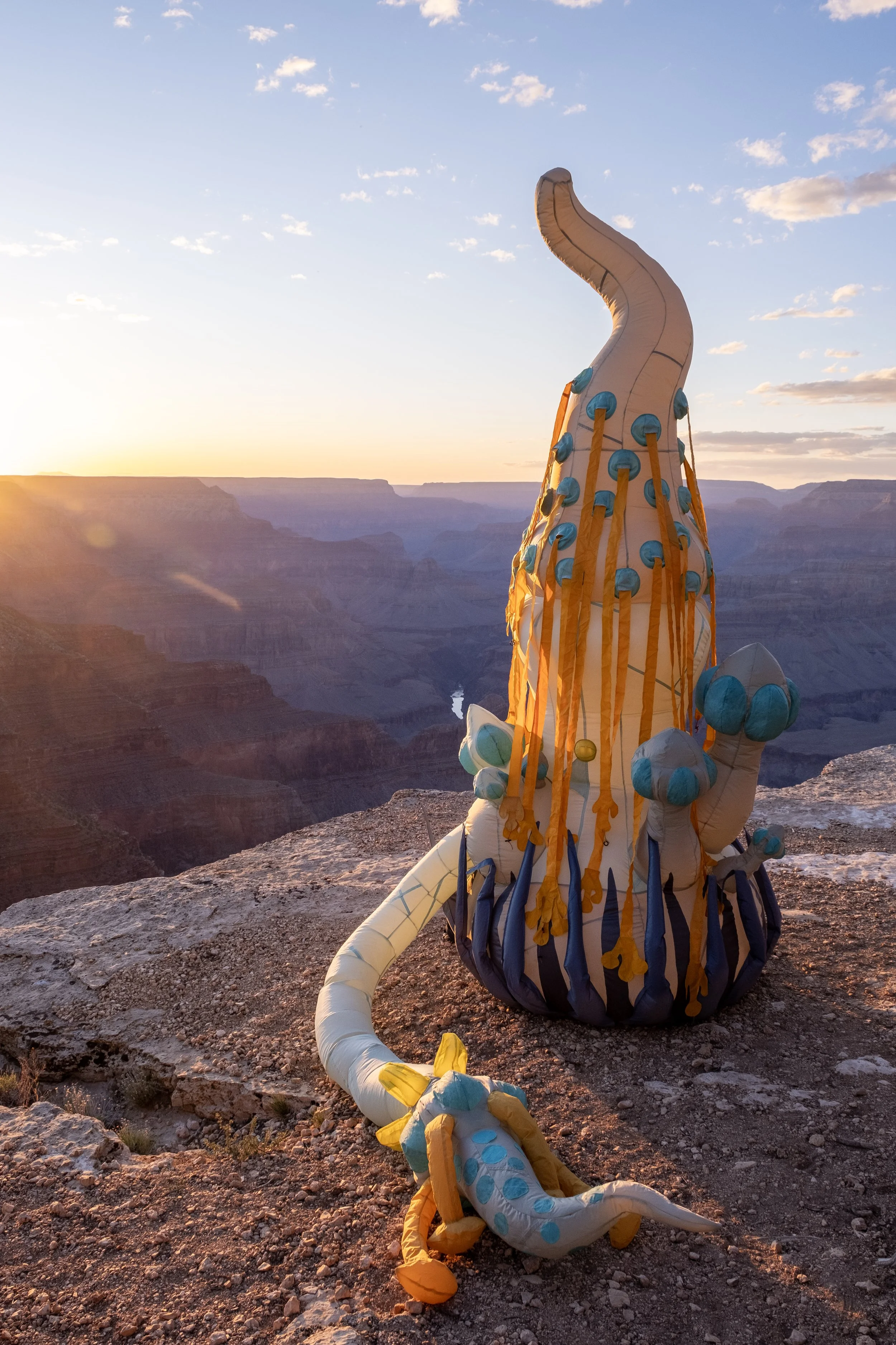 Inflatable sculpture future agave plant grand canyon