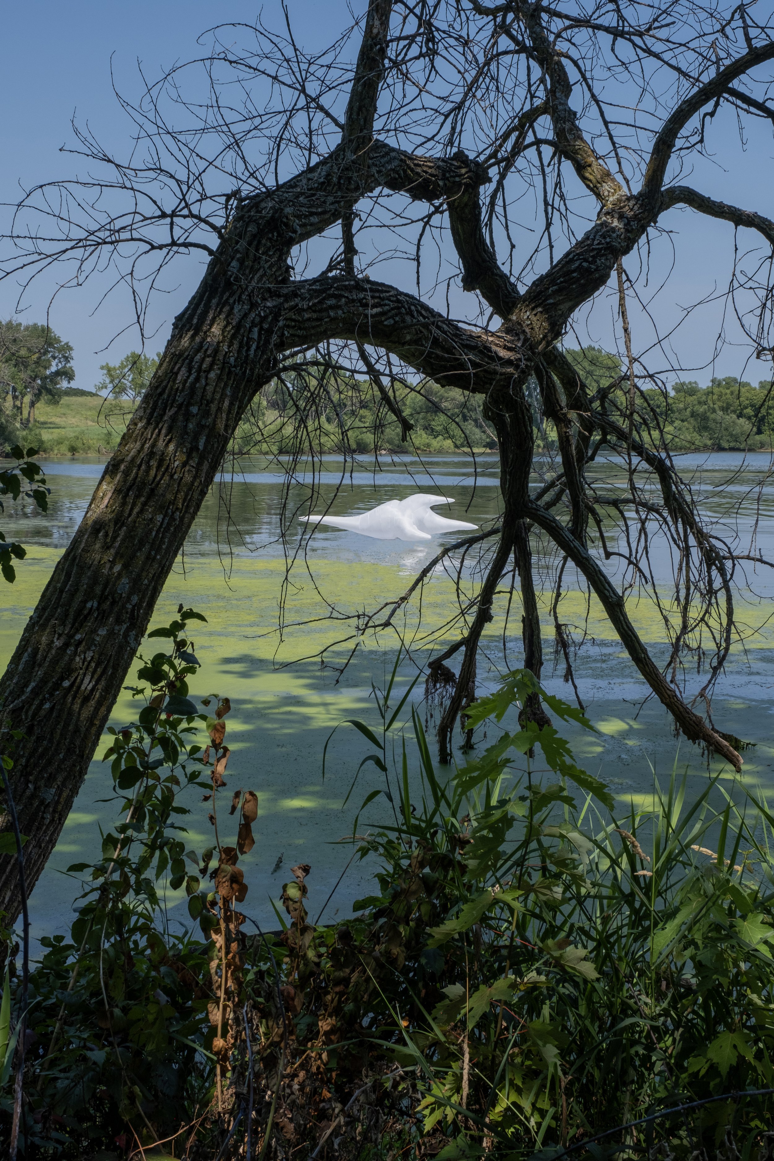 Cerium Hiruendella inflatable sculpture on lake Okaboji