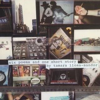   six poems and one short story   a chapbook for boston and long days in davis square  published 2004 