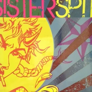   Sister Spit: Writing, Rants &amp; Reminiscence from the Road   edited by Michelle Tea, published 2012, City Lights 