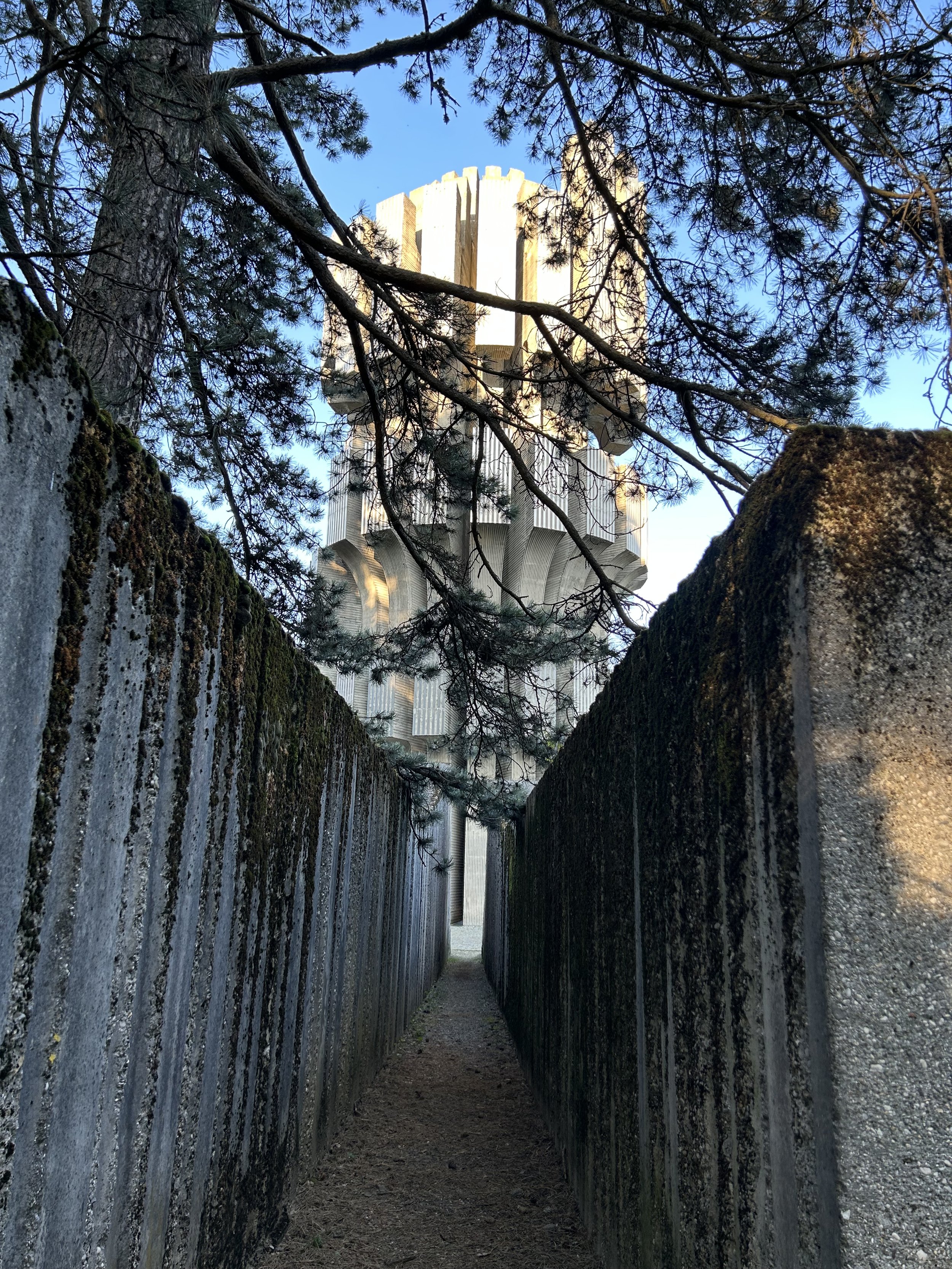 IMG_7743.jpeg