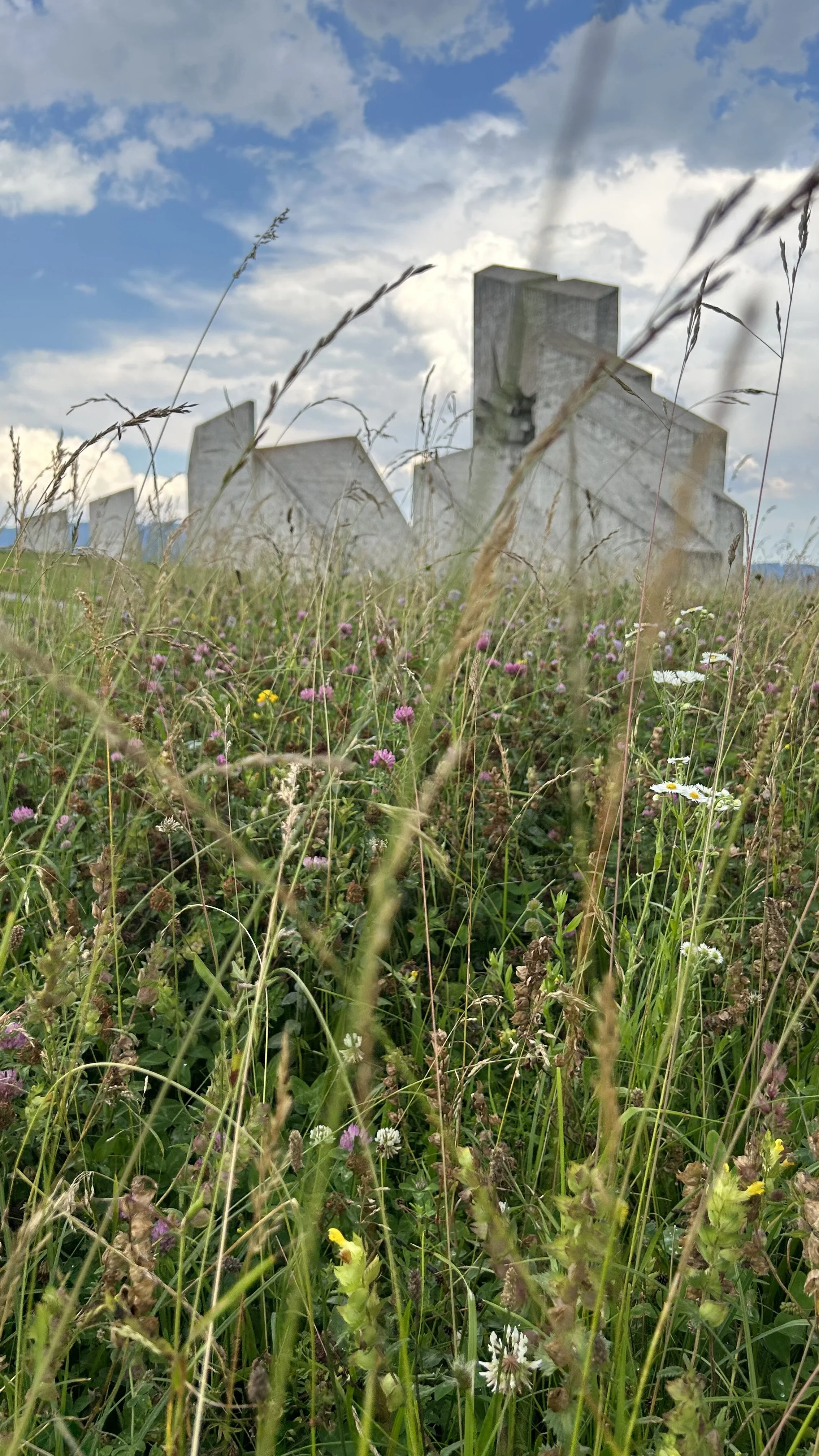 IMG_9071.jpeg