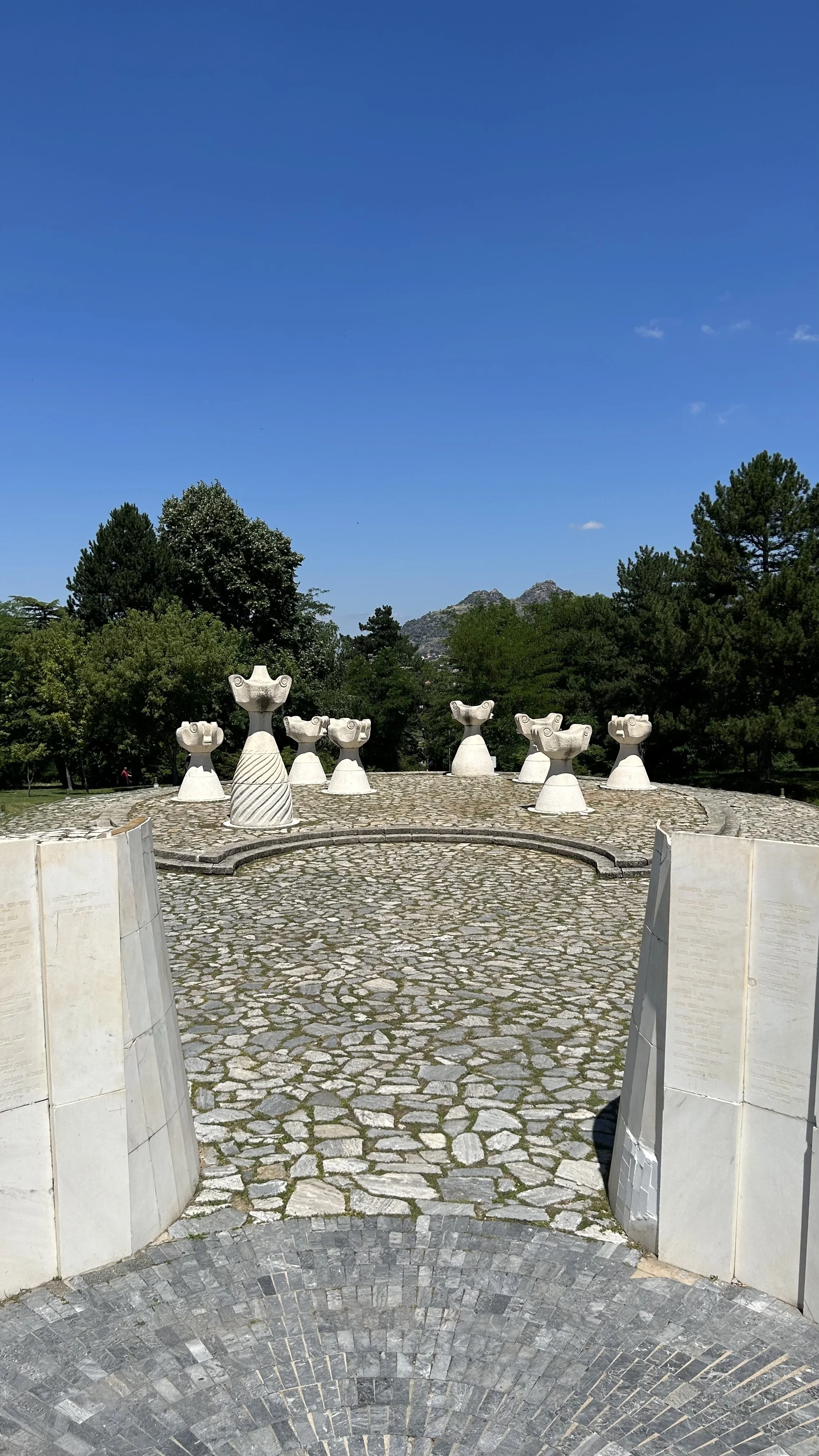 IMG_9843.jpeg
