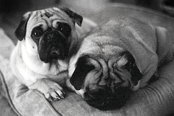 Max and Bitterman