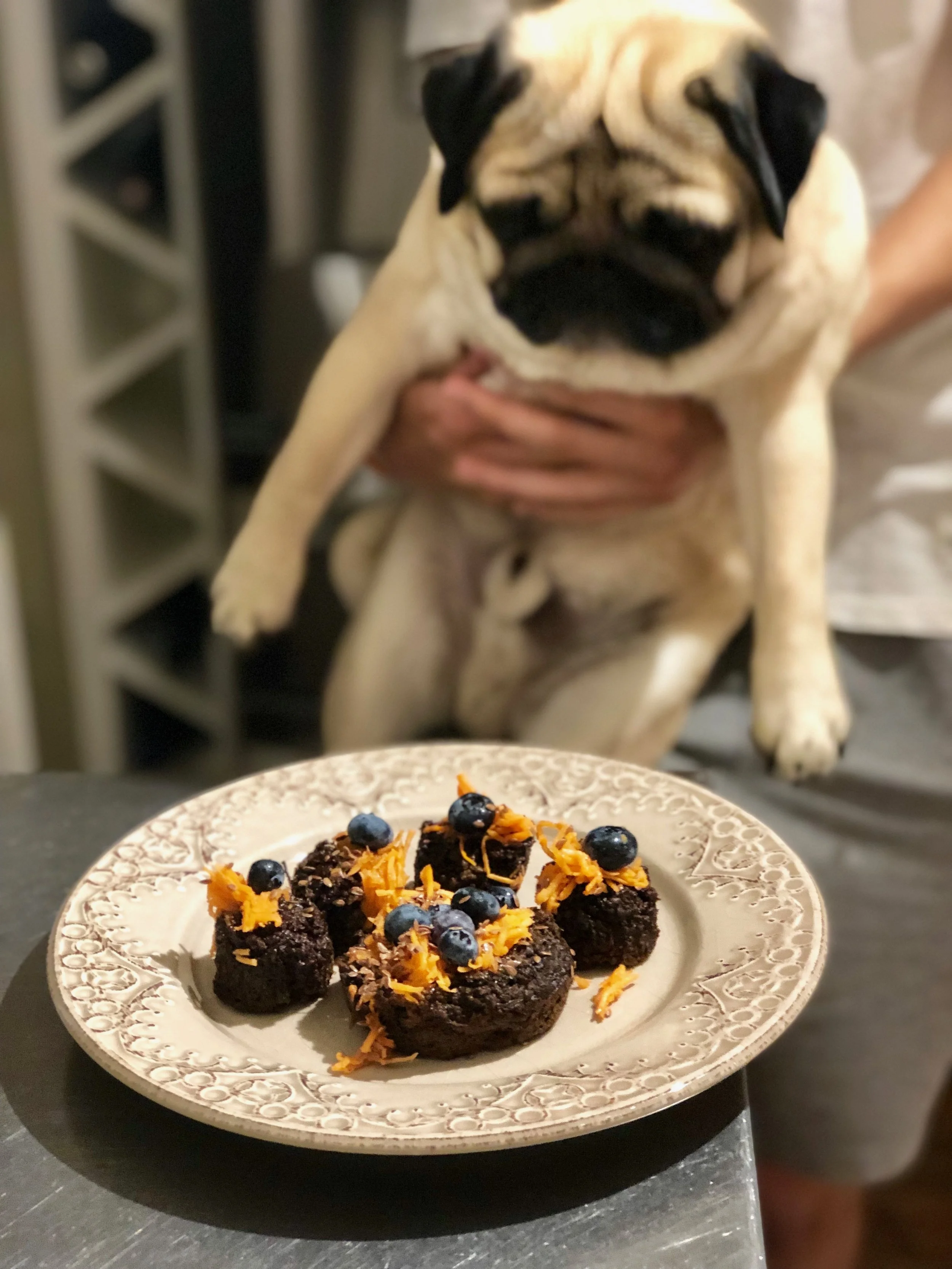Pupcakes!.jpeg