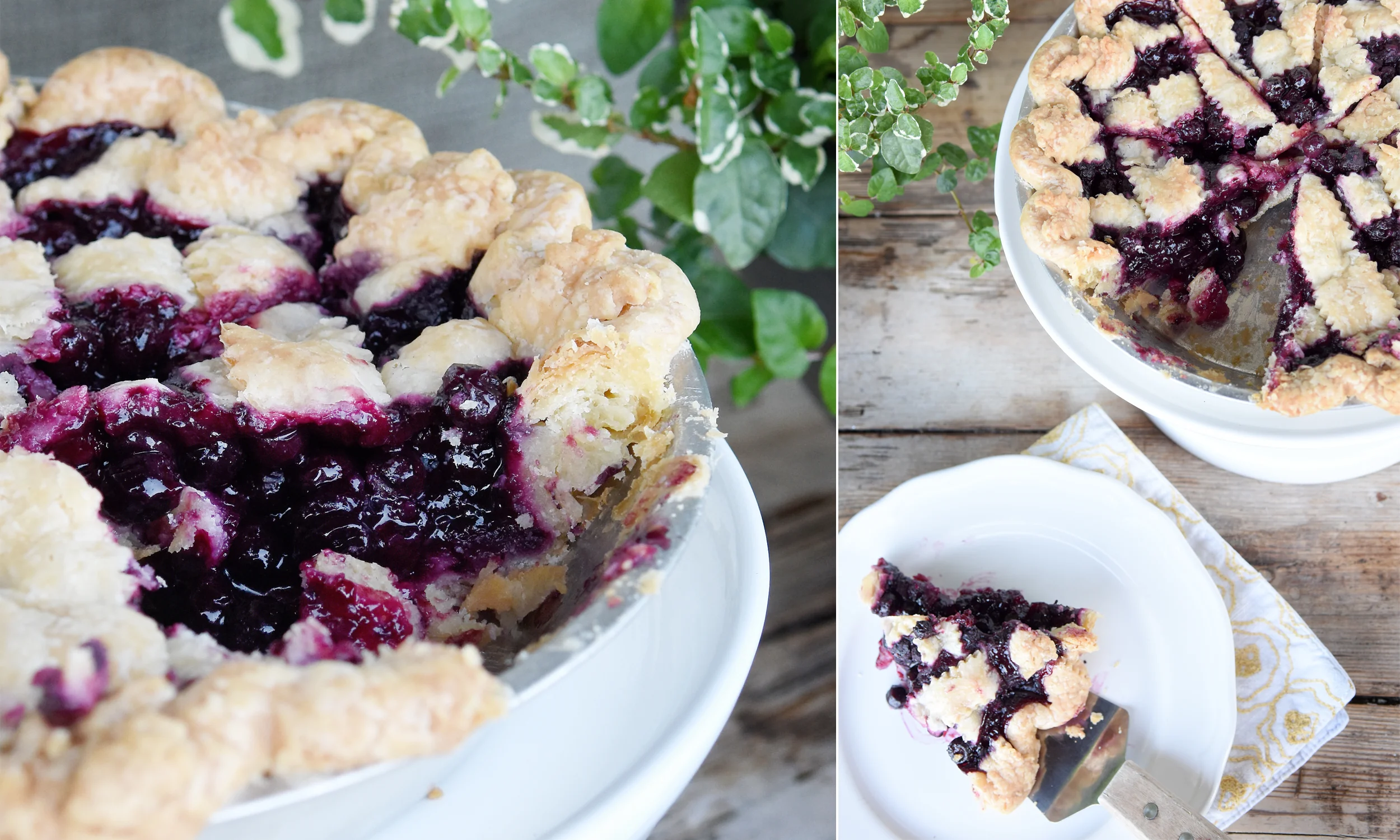 Blueberry Pie