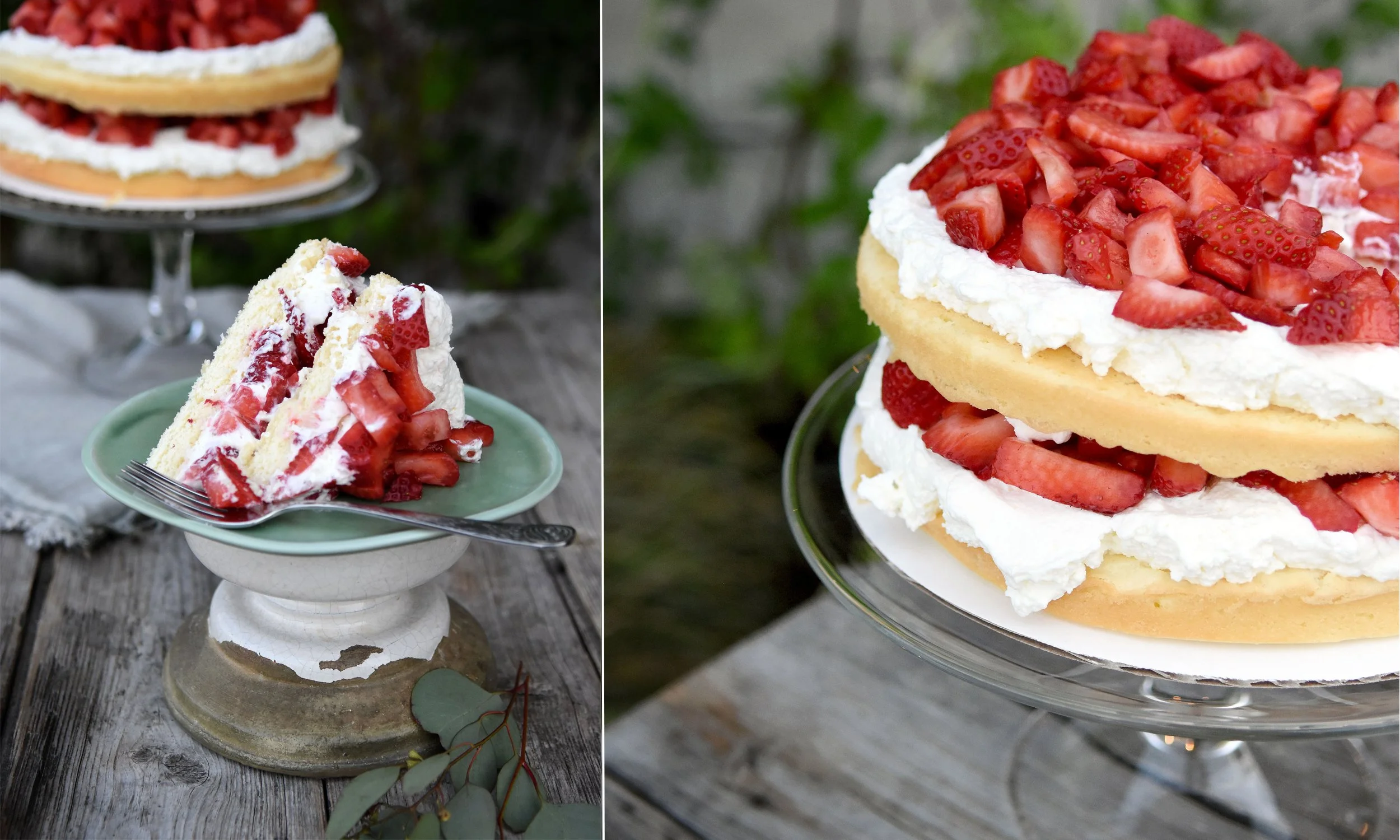 Strawberry Shortcake