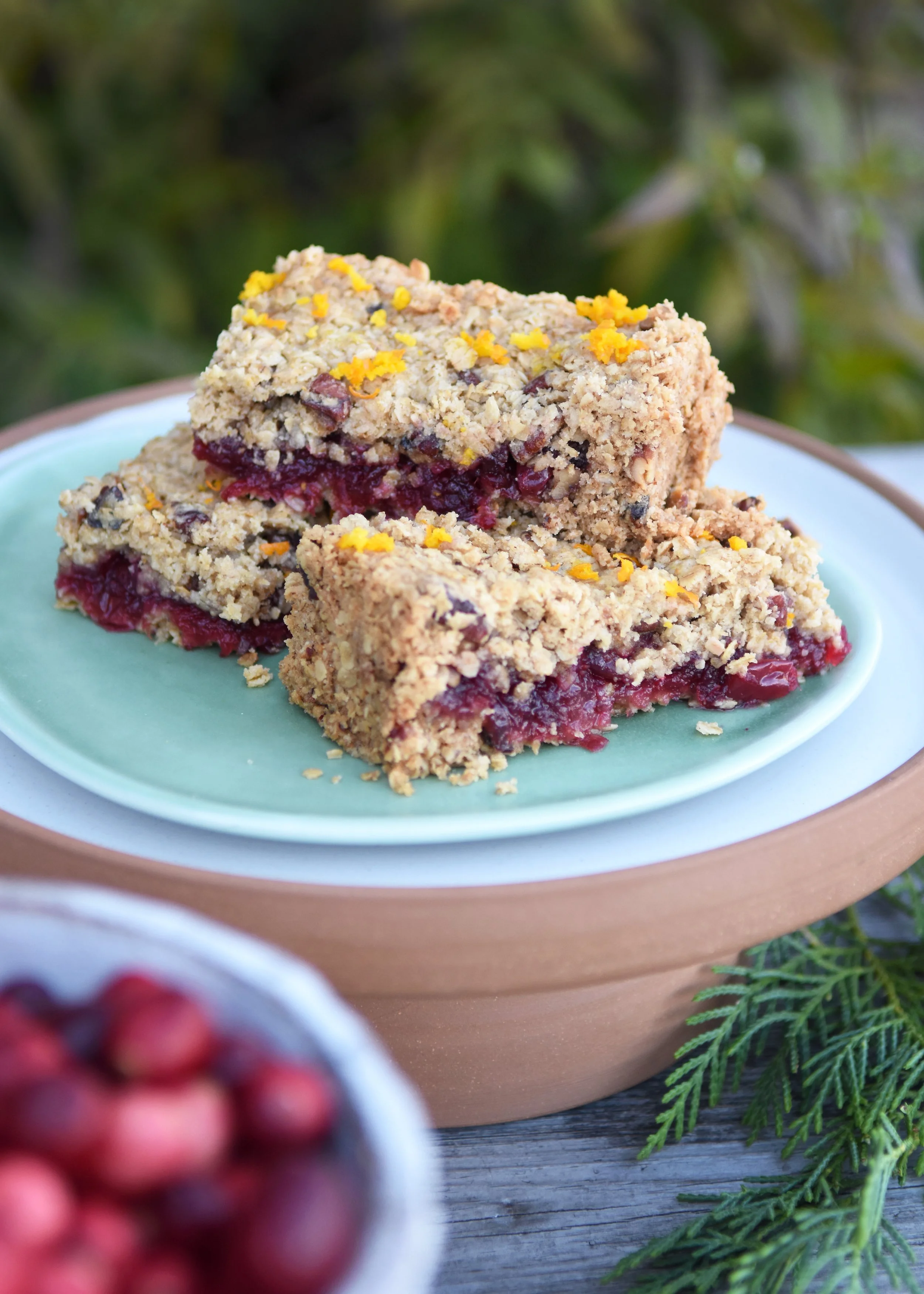 Vegan Cranberry Crumble Bar