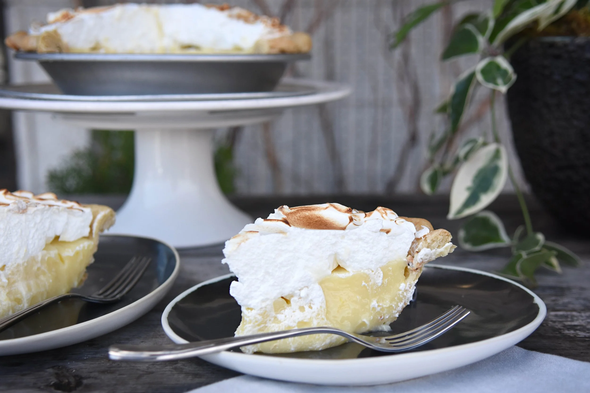 Lemon Meringue Pie