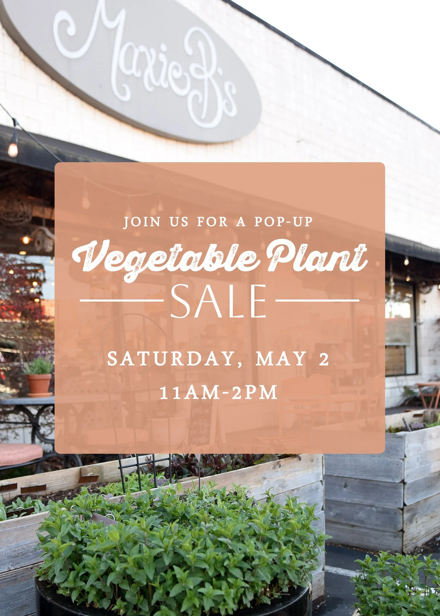 Vegetable Plant Sale