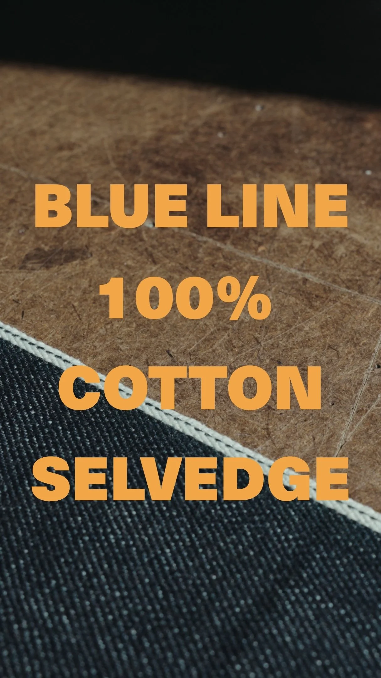 BLUE LINE 100 3.jpg