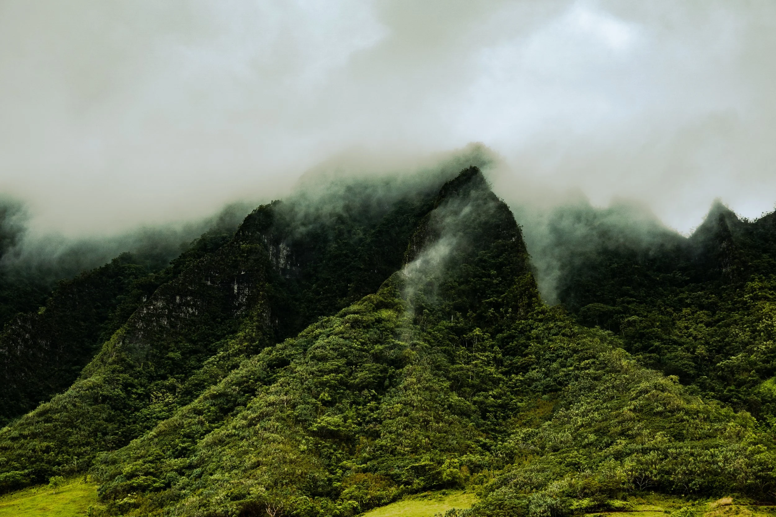 HAWAII EDITED PICTURES-297.jpeg