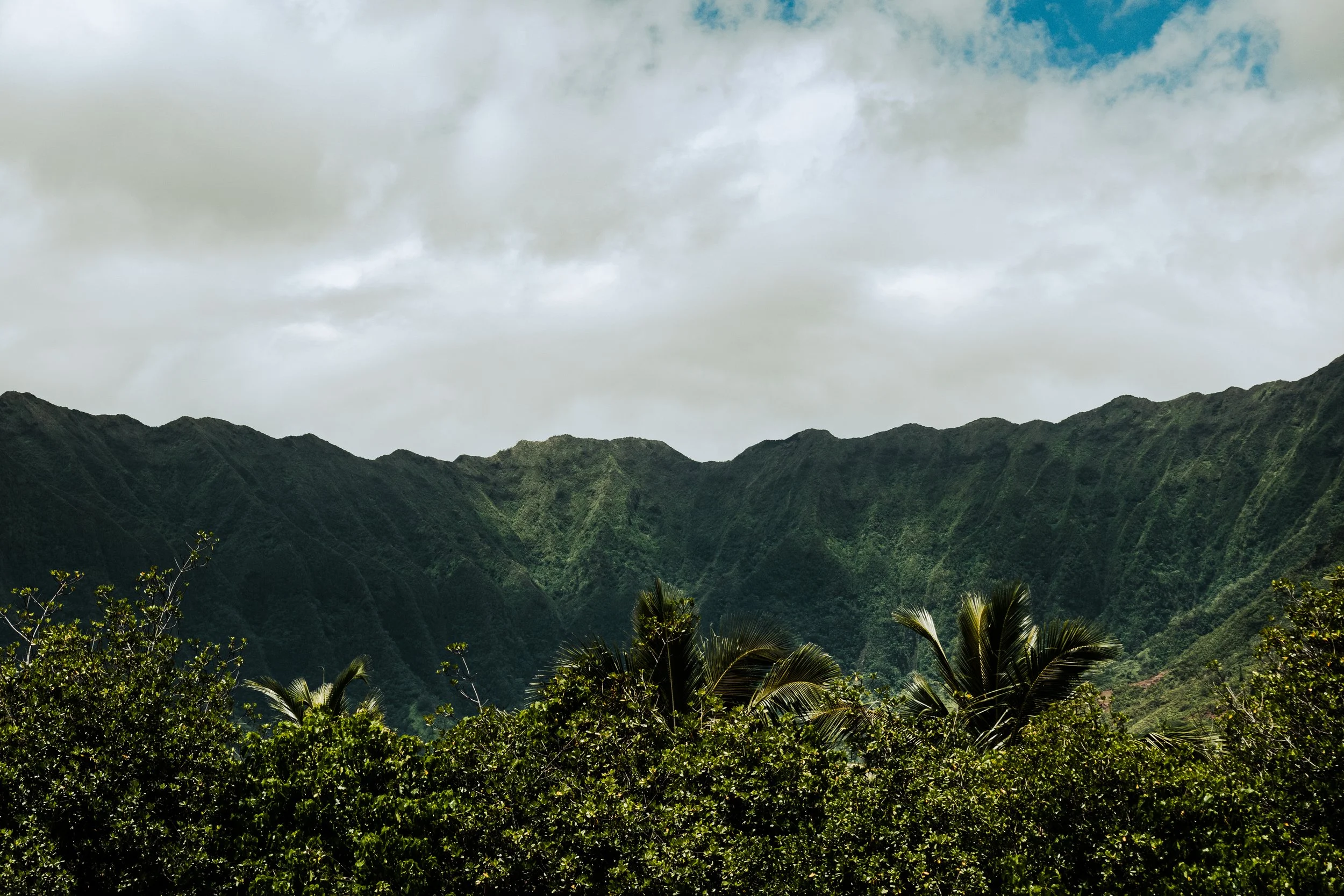 HAWAII EDITED PICTURES-408.jpeg