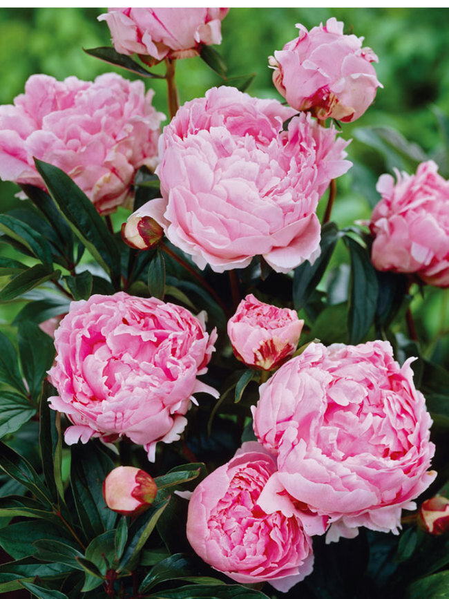 B5FD69AF-248D-4B47-95A1-DD611EB4F17D