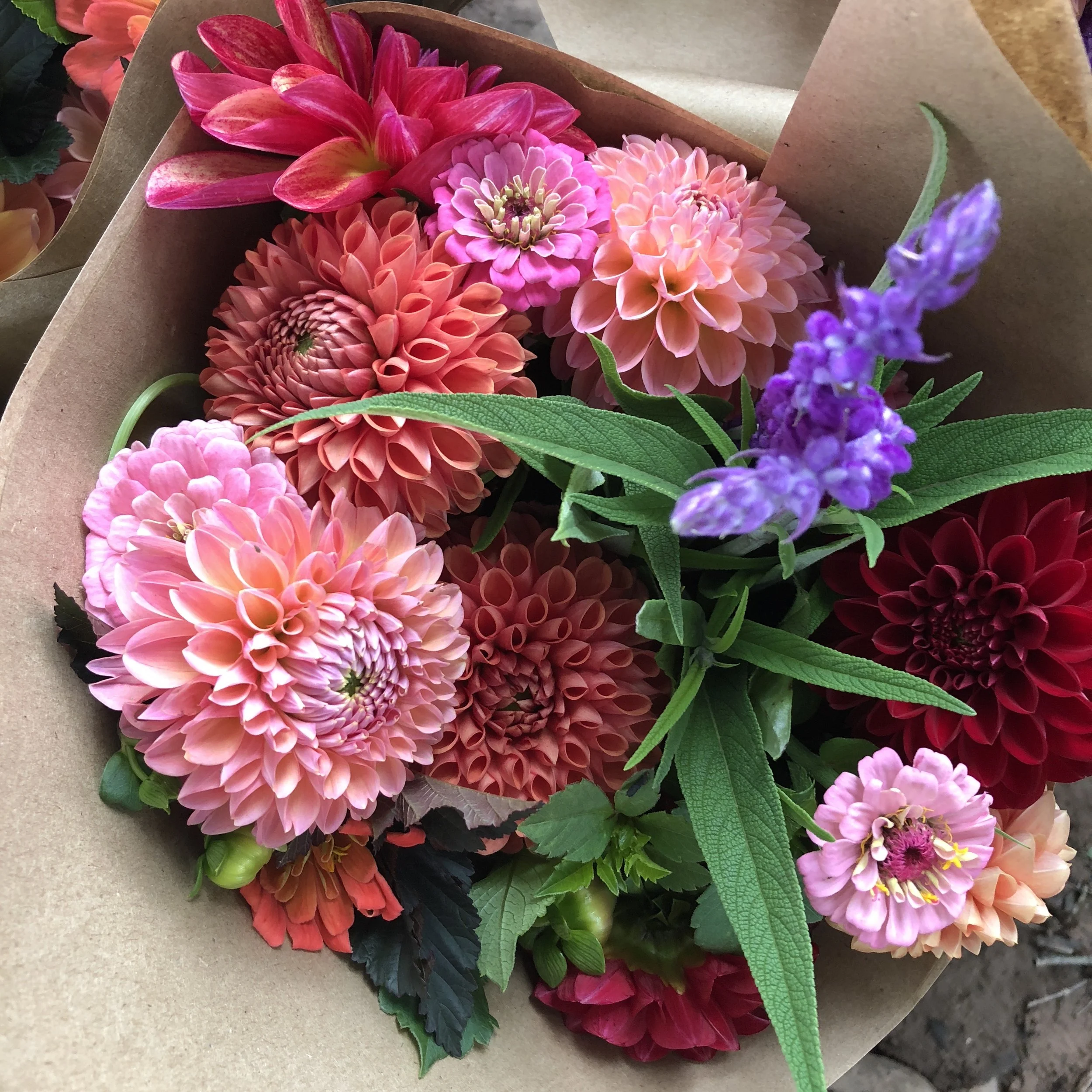 Flower Bouquet Subscriptions — Tierra Blooms