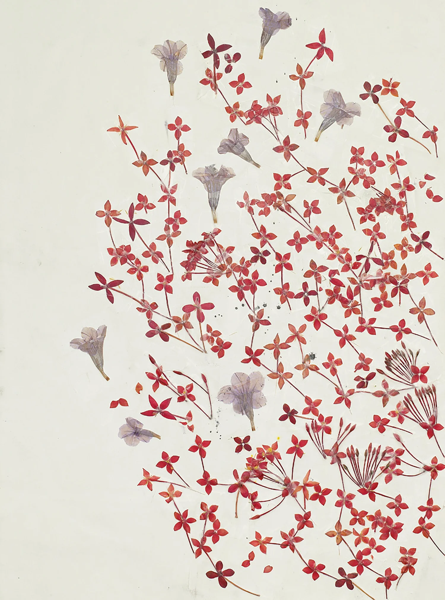 Untitled, 2008