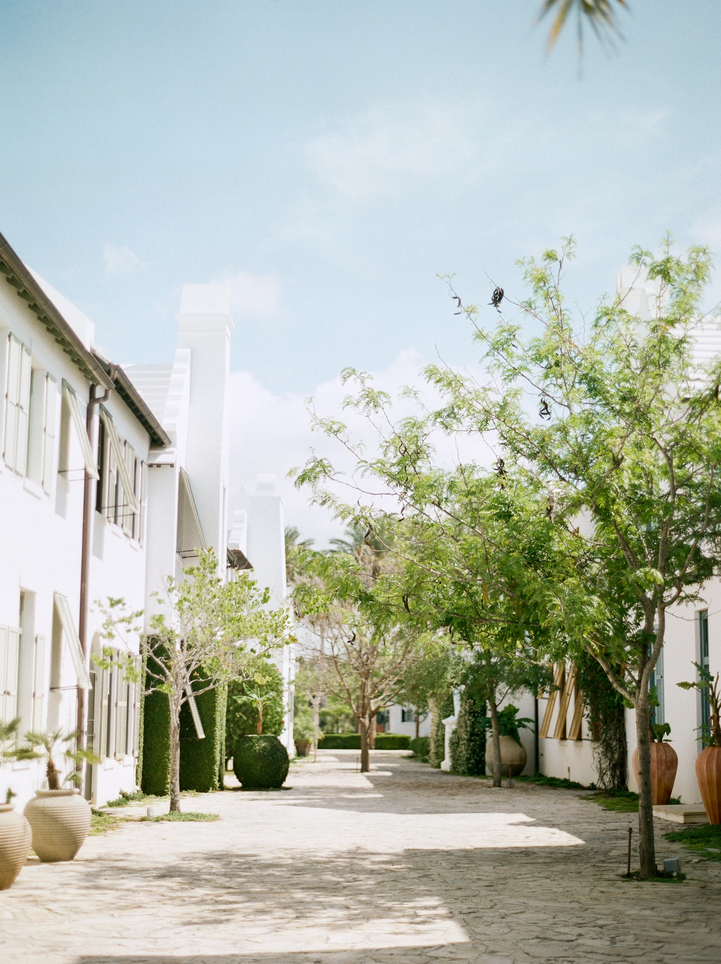 film-2.jpg