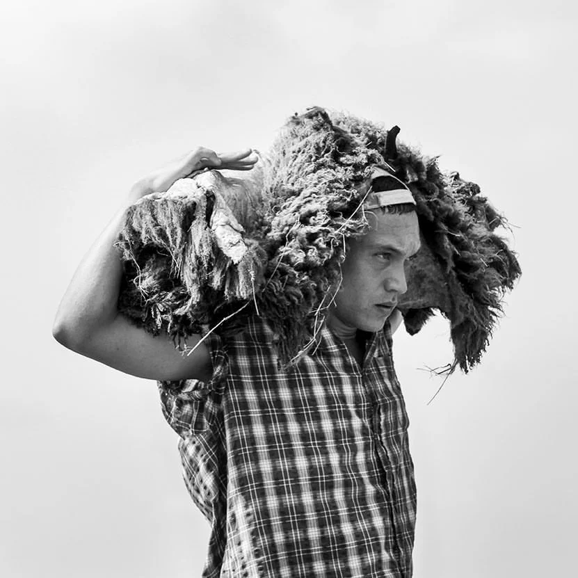 From Ann Carlson's "Doggie Hamlet" (2015)