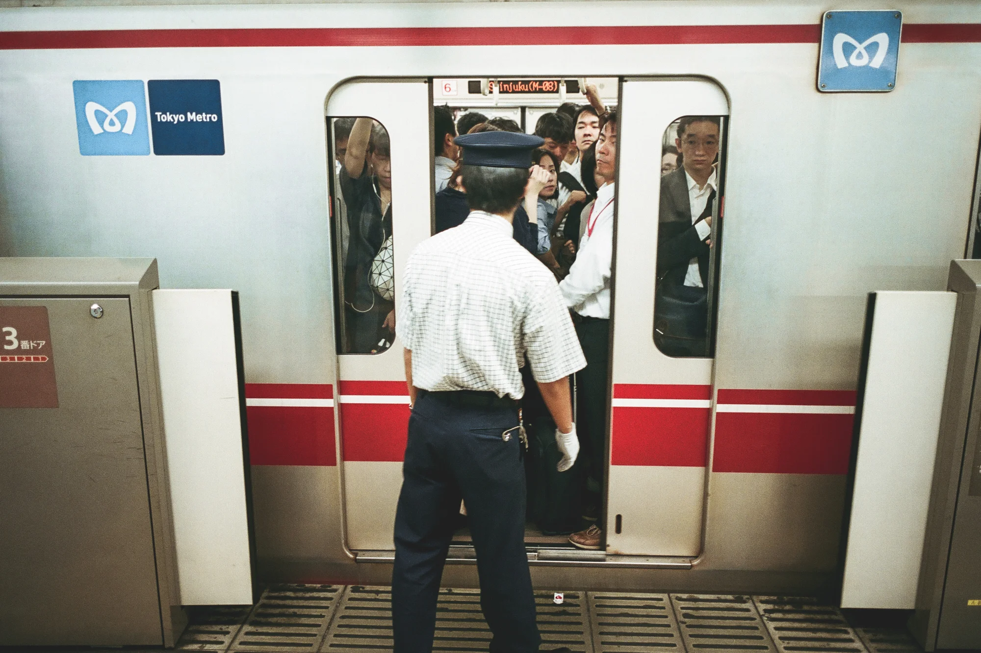 73110034.jpg