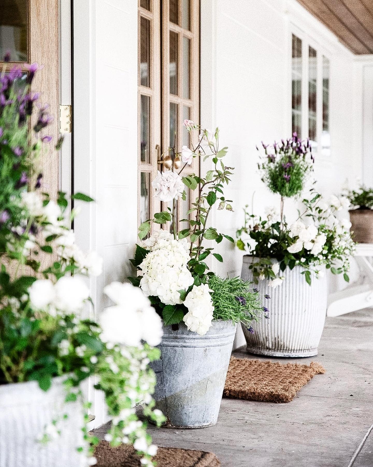 Spring has officially sprung! 💕 The flowers are blooming (how gorgeous are these at @boxwoodavenue&rsquo;s lovely ranch abode?), the birds are singing &amp; our allergies are in full force 😂 

Hope everyone has a lovely week &amp; is feeling inspir