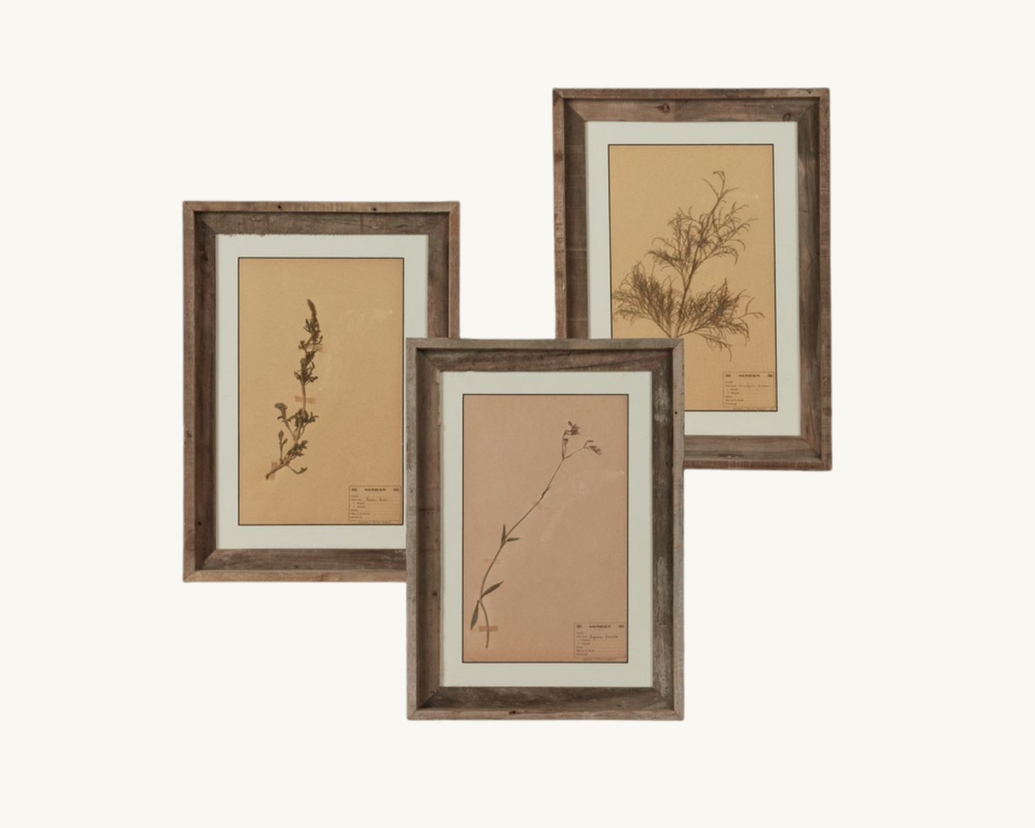 framed vintage artwork from olive ateliers