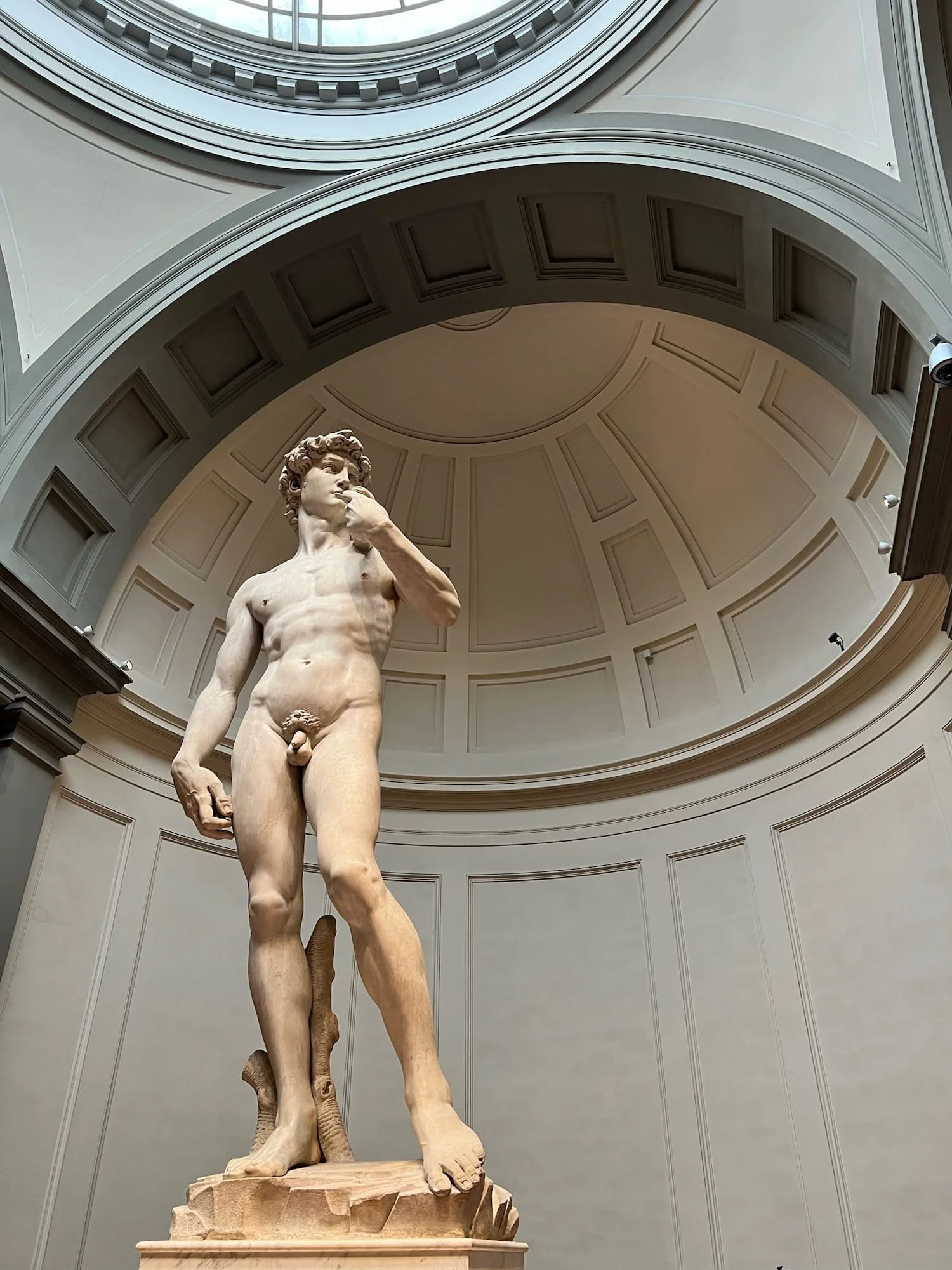 the-david-michelangelo-galleria-dell-accademia-florence-italy