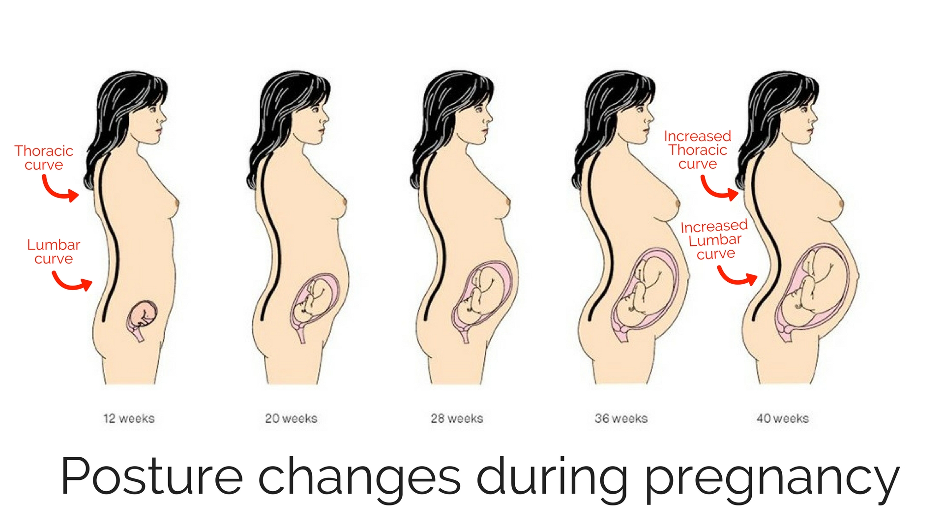 как по груди определить что вы беременны фото 88