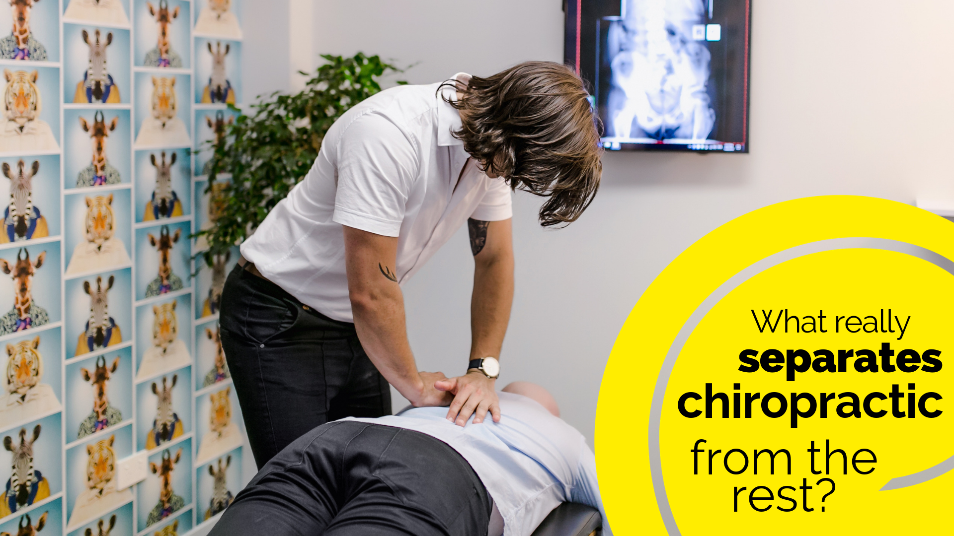 Chiropractic (2).png