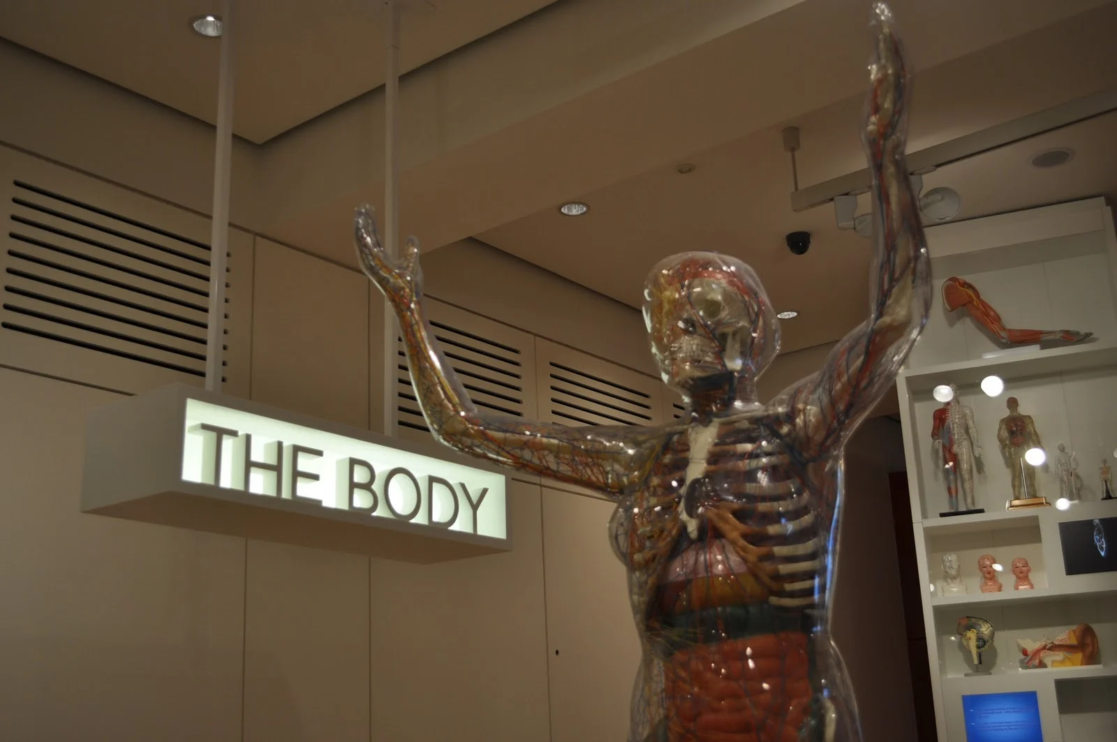 iVisit.... Wellcome Collection 