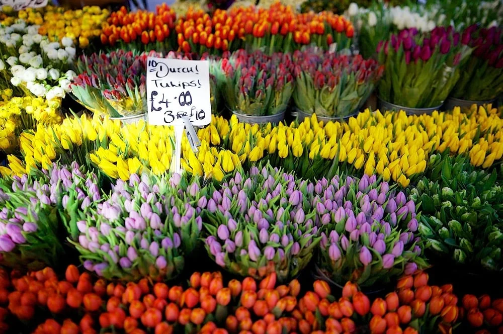 iVisit.... Columbia Road Flower Market