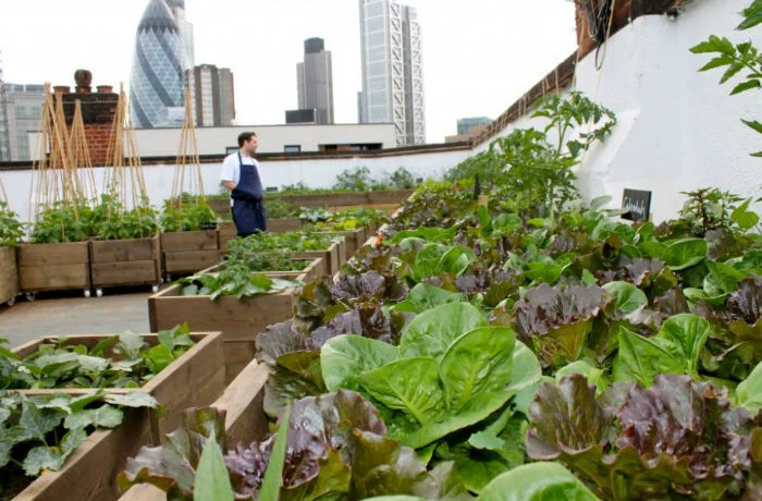 iVisit.... The Culpeper