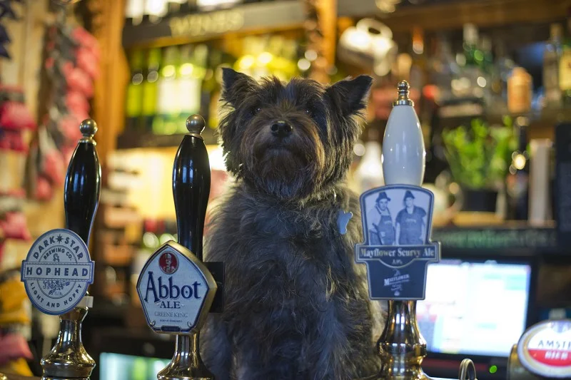 iVisit.... The Mayflower Rotherhithe