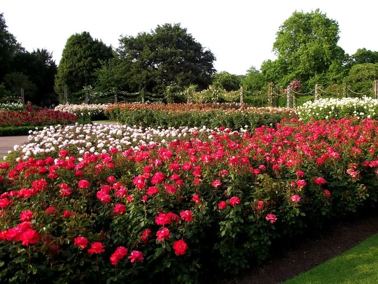 iVisit.... Queen Mary's Gardens