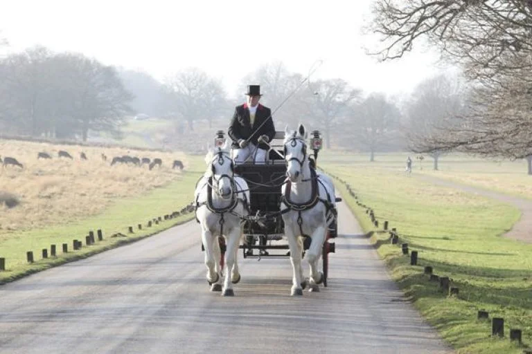 iVisit.... Horse Drawn Carriage Rides @ Richmond Park 