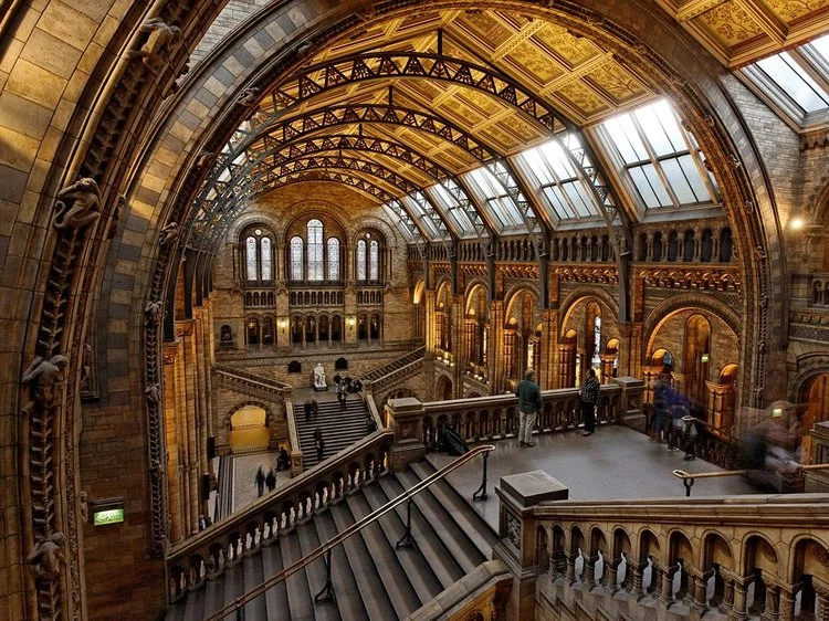 iVisit.... the Natural History Museum After Hours